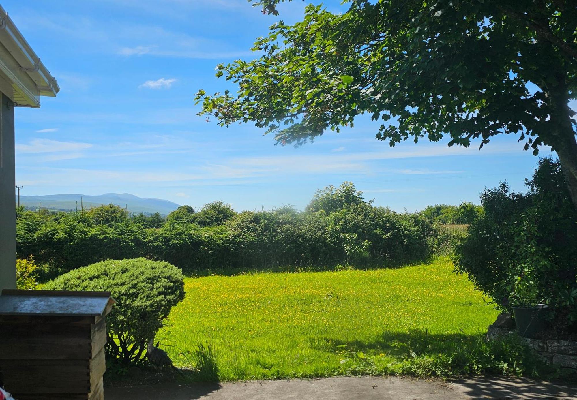 Mary'S Artebella Apartment Tralee Bagian luar foto
